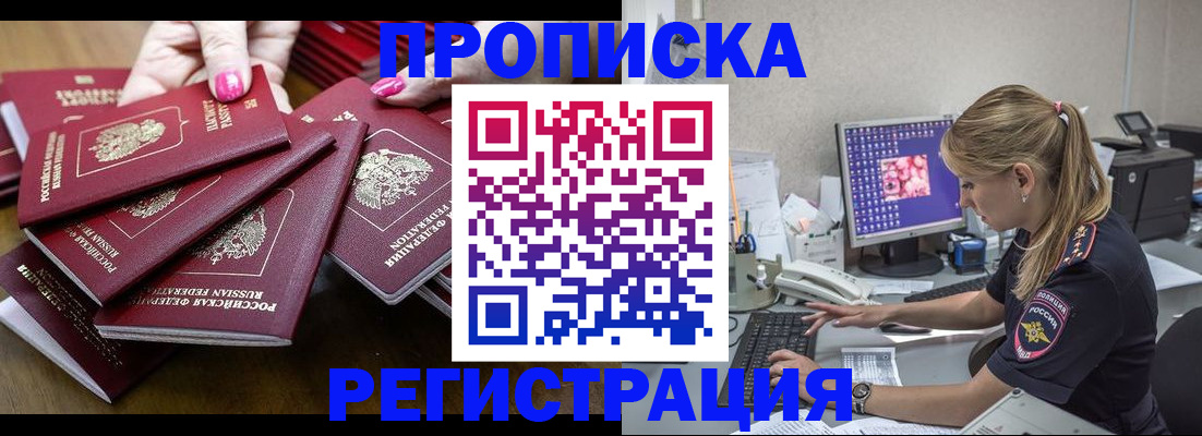 где прописаться в Коле